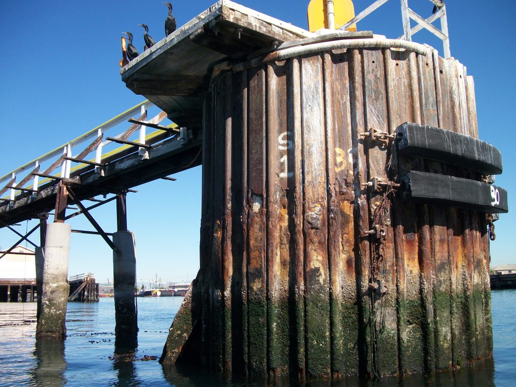 How Do You Repair and Design Structures in the Marine Environment?